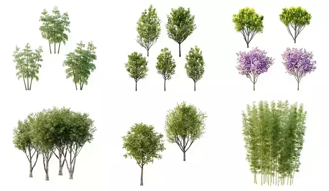 Excellent collection of Tree plants 26 Different Models 0017  Excellent collection of Tree plants 26 Different Models 0017
