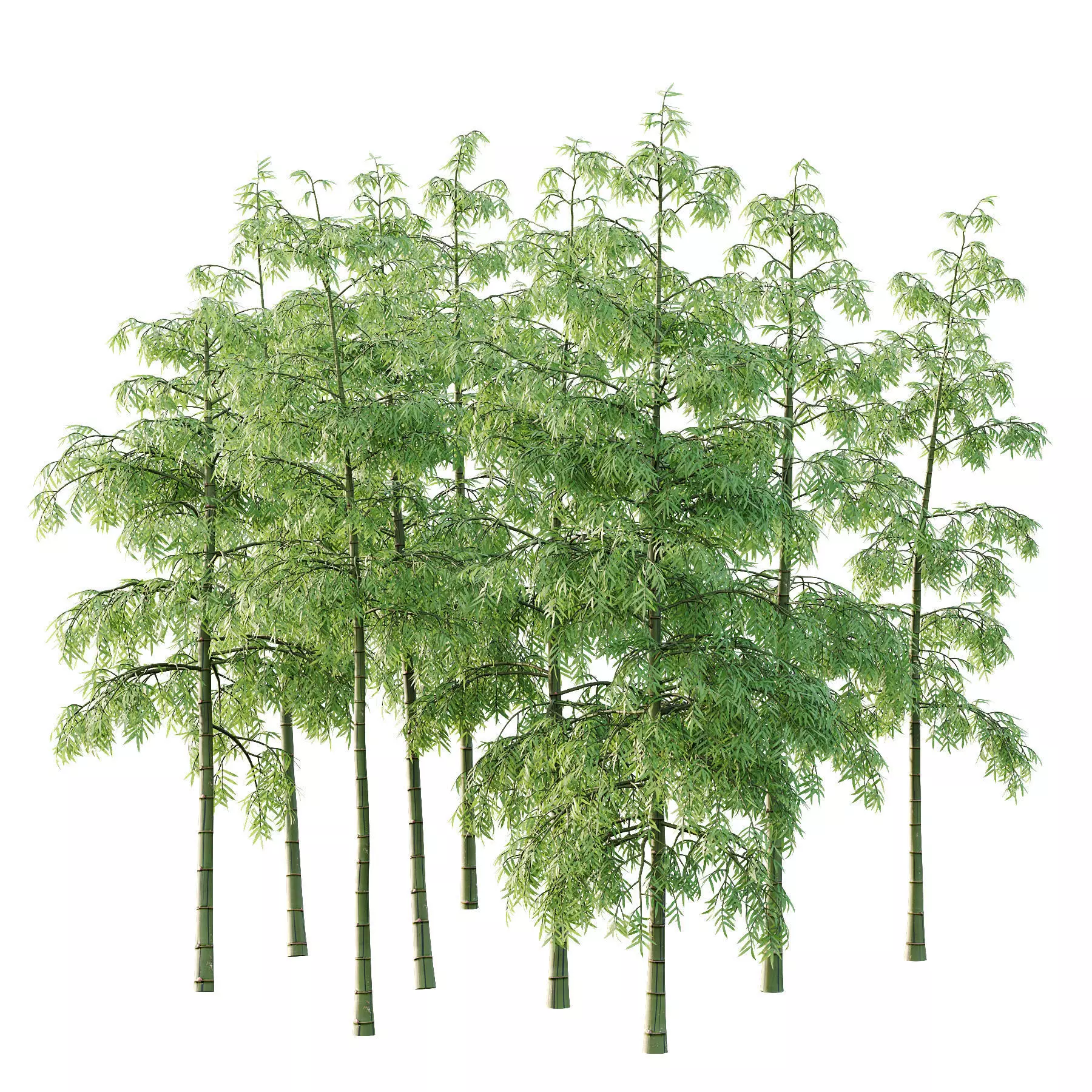 Excellent collection of Tree plants 26 Different Models 0017 _15
