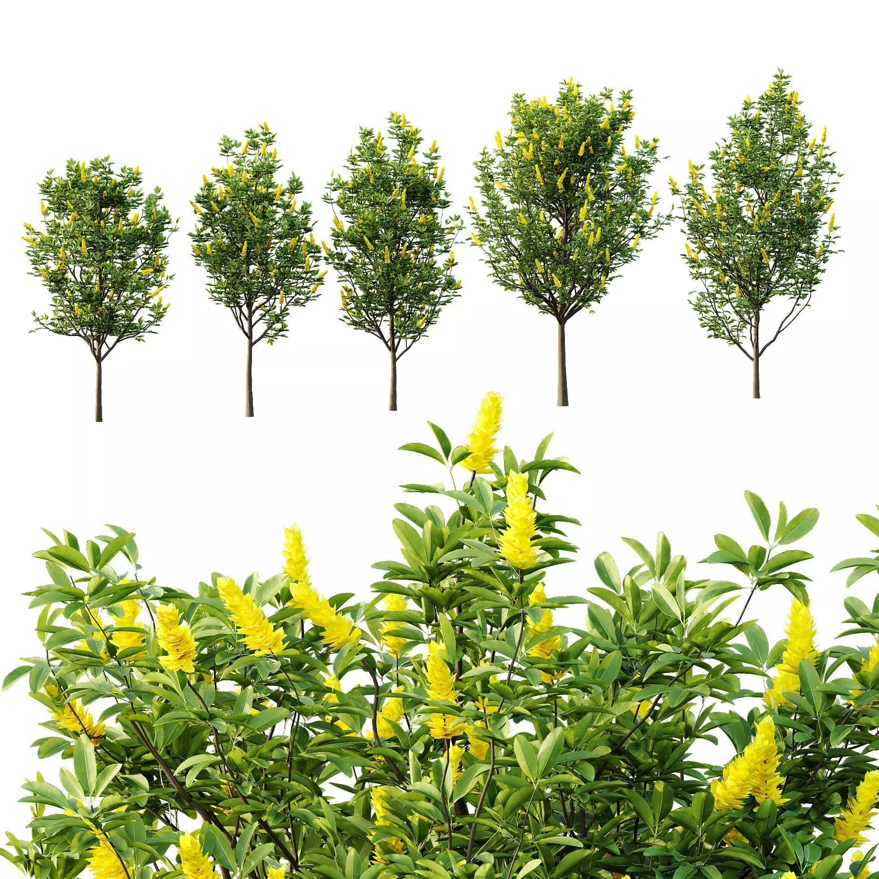 Excellent collection of Tree plants 26 Different Models 0017 _10