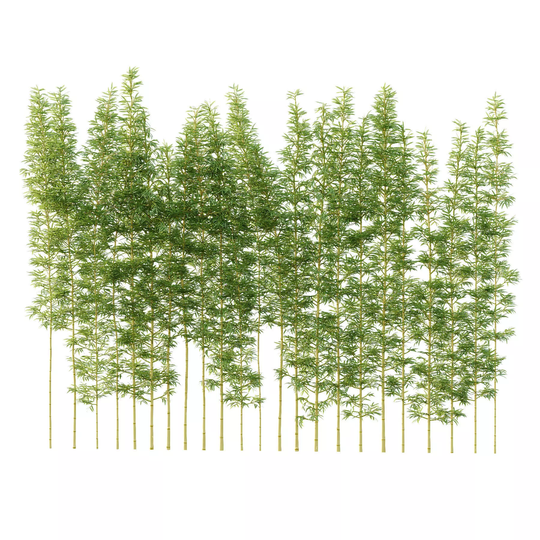 Excellent collection of Tree plants 26 Different Models 0017 _12