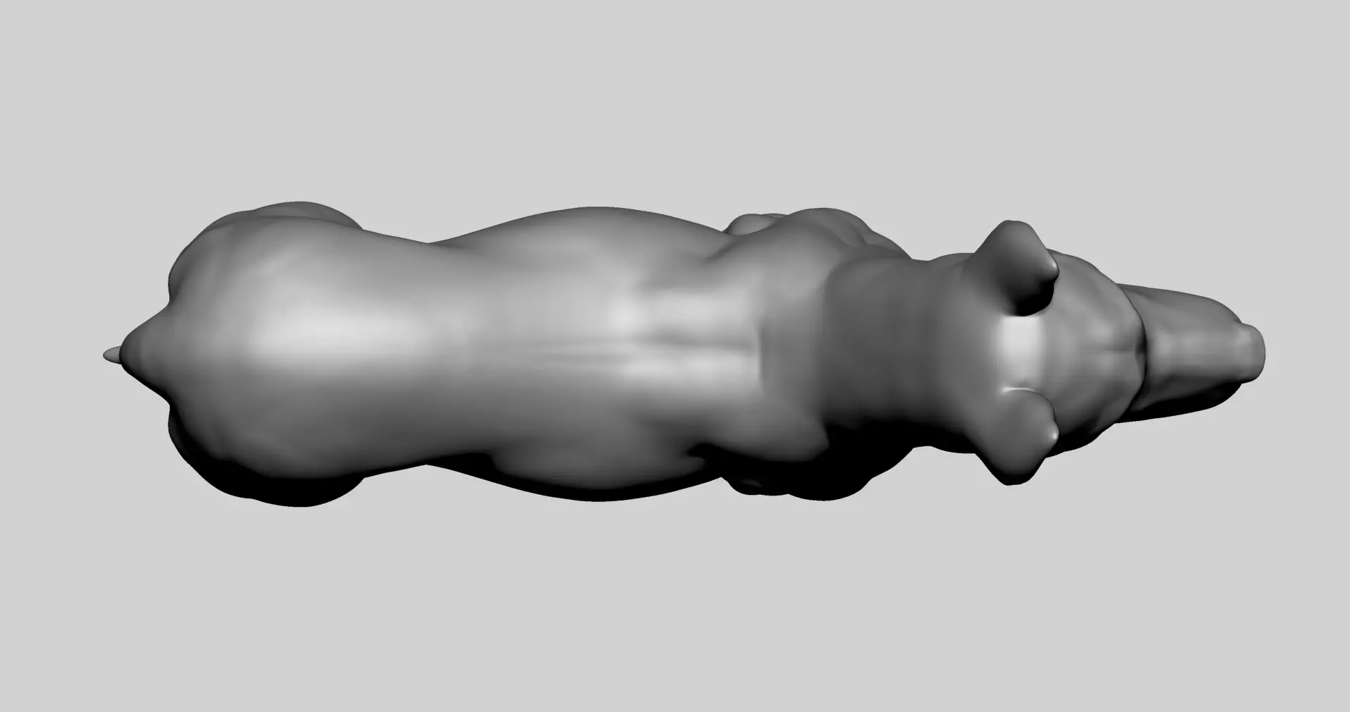 Base Dog Anatomy 3D model_9