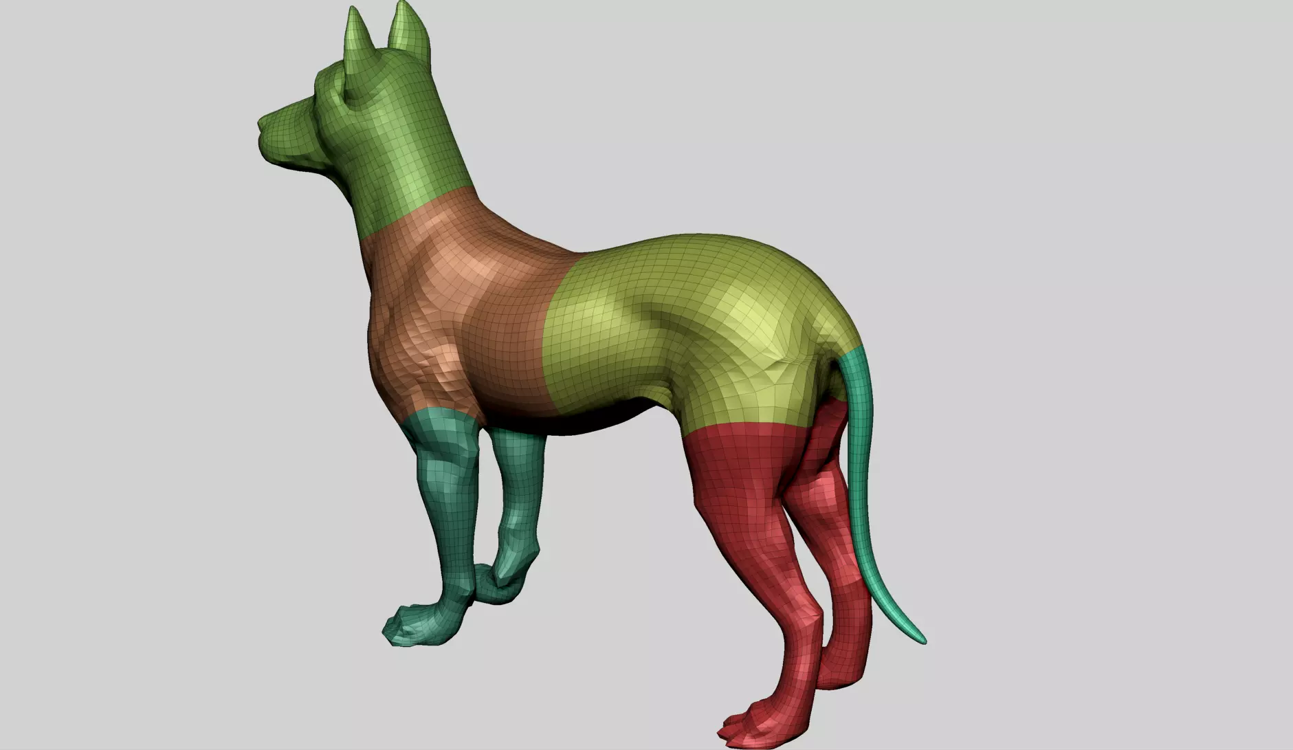 Base Dog Anatomy 3D model_12