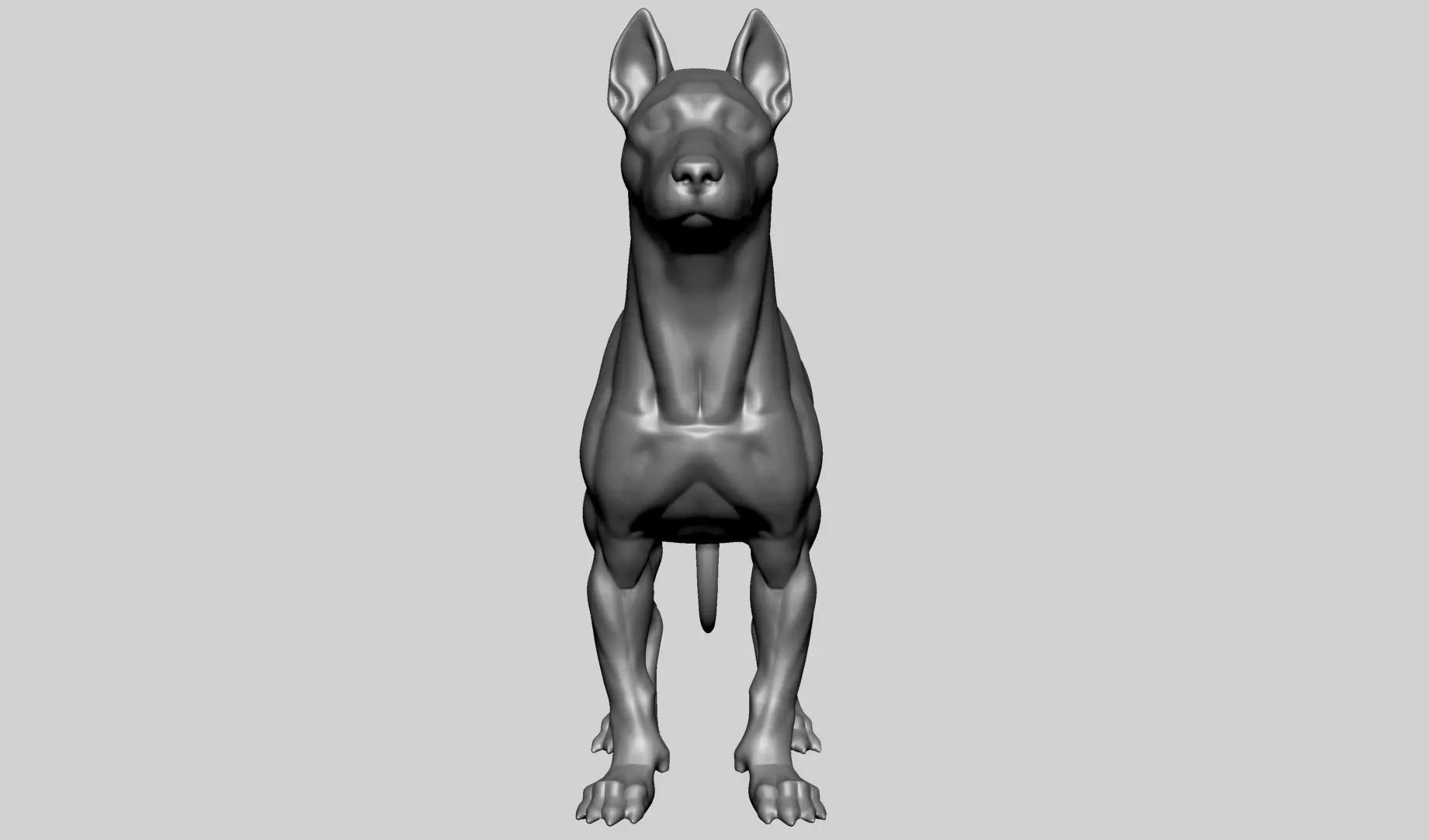 Base Dog Anatomy 3D model_4