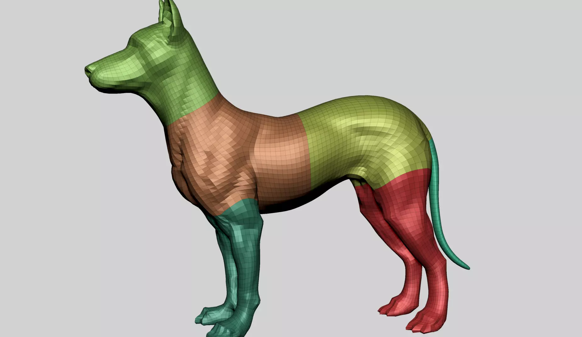 Base Dog Anatomy 3D model_11
