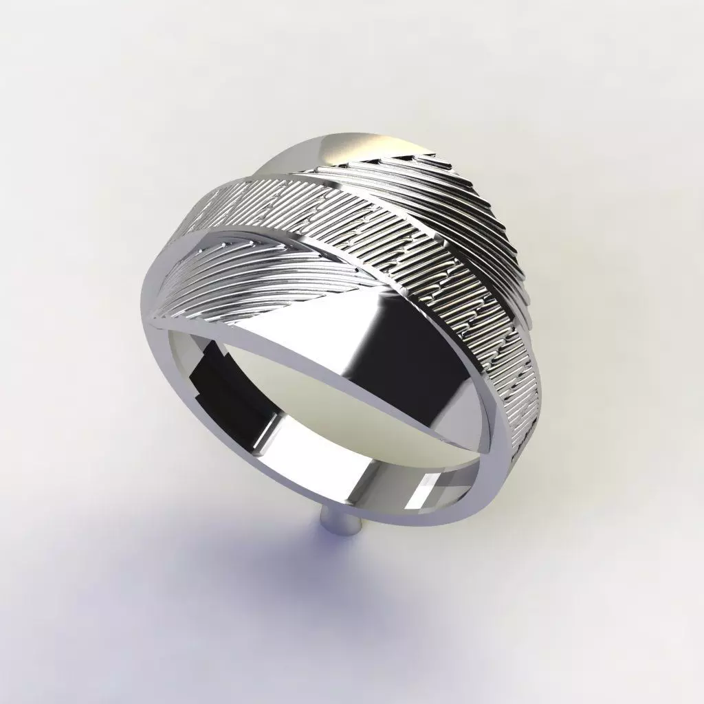 Rings 3D print model_1