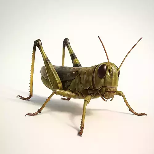 3D Grasshopper Model 
