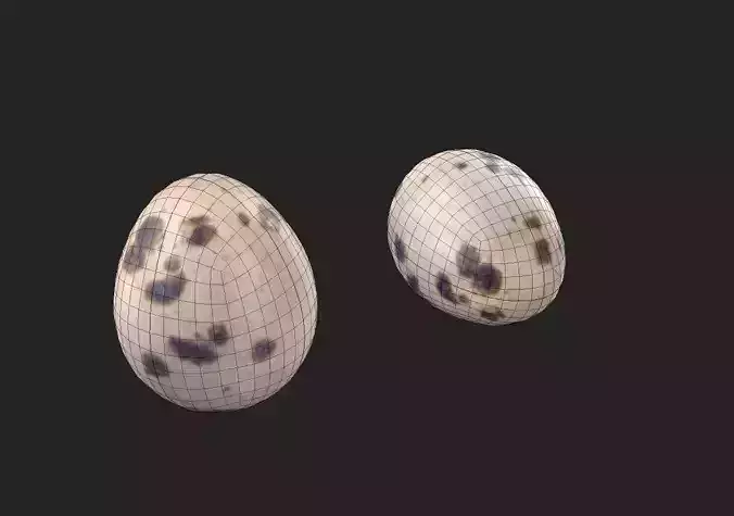 Quail Egg M01 Low-poly 3D model 2