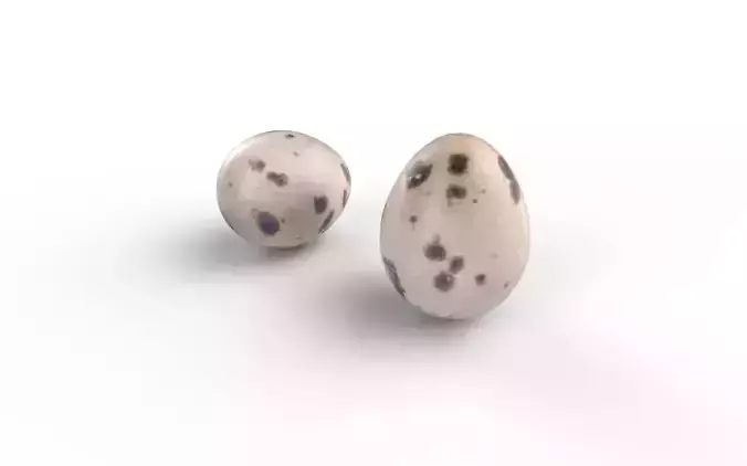 Quail Egg M01 Low-poly 3D model 6