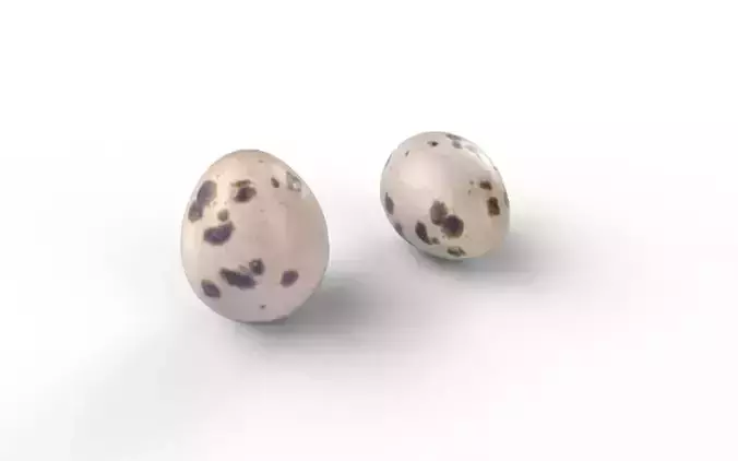 Quail Egg M01