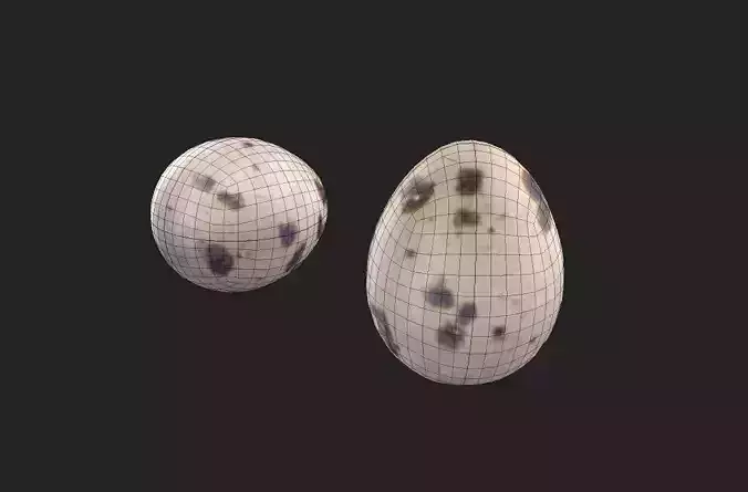 Quail Egg M01 Low-poly 3D model 7