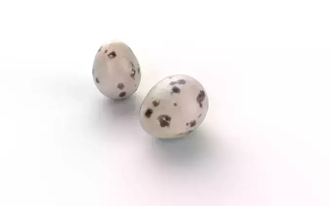 Quail Egg M01 Low-poly 3D model 4