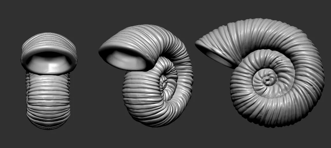 Seashells and Starfish Set 3D print model_3