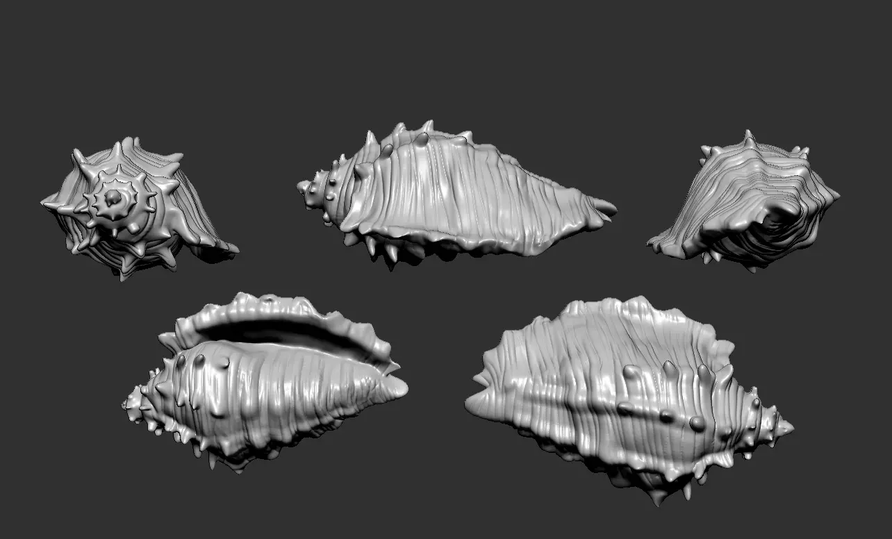 Seashells and Starfish Set 3D print model_0