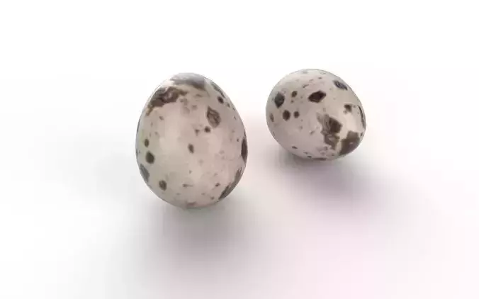 Quail Egg M02