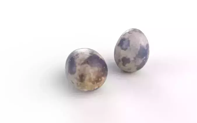 Quail Egg M05 Low-poly 3D model 5