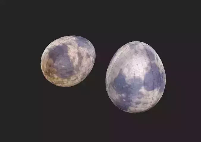 Quail Egg M05 Low-poly 3D model 7
