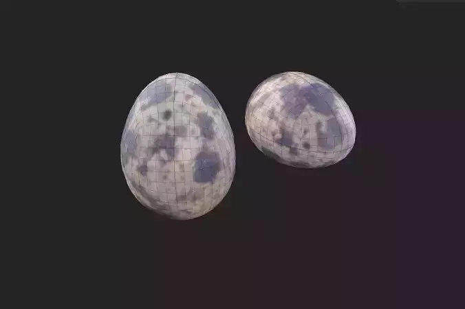 Quail Egg M05 Low-poly 3D model 2