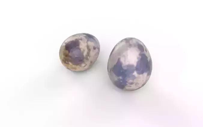 Quail Egg M05 Low-poly 3D model 6