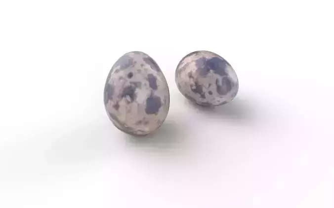 Quail Egg M05