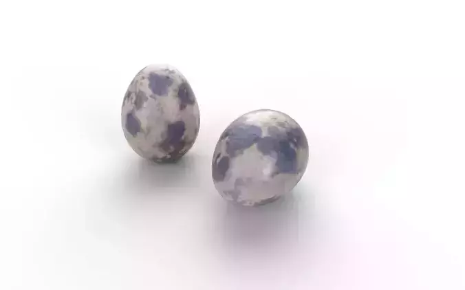 Quail Egg M05 Low-poly 3D model 4