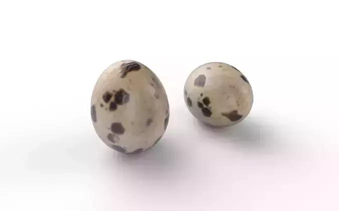 Quail Egg M06