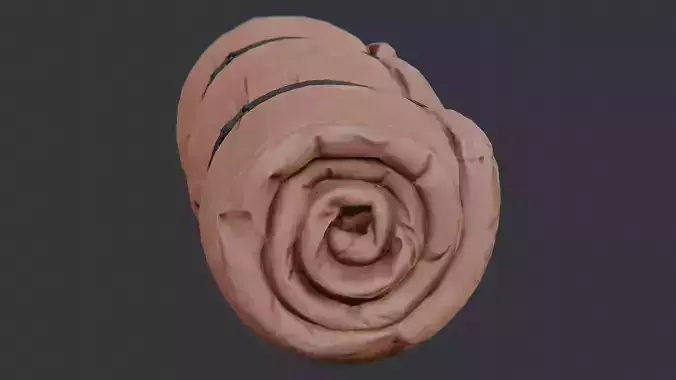 Rolled Sleeping Bag Outdoor Accessory