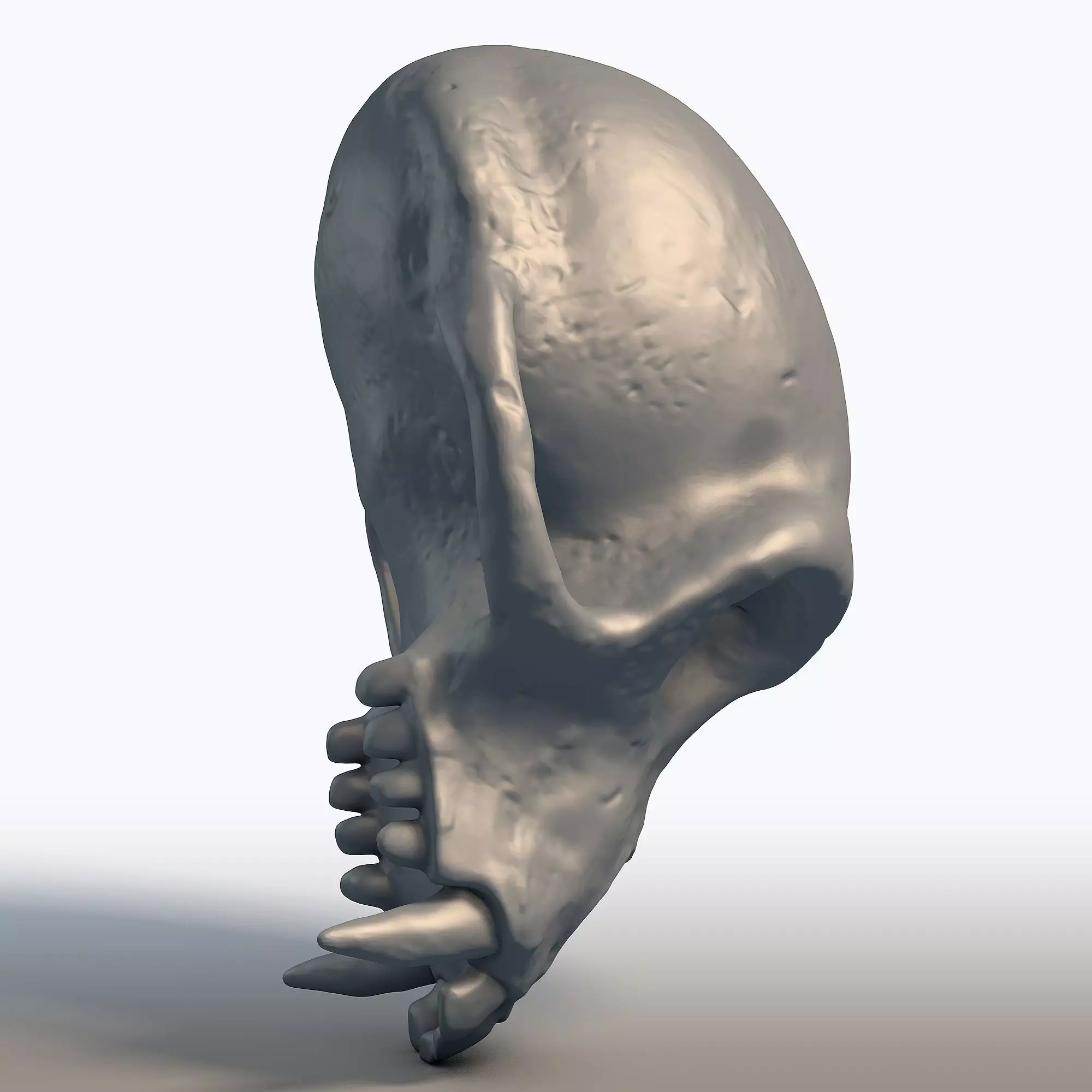 Monkey Skull Primate Anatomy Sculpture 3D print model_6