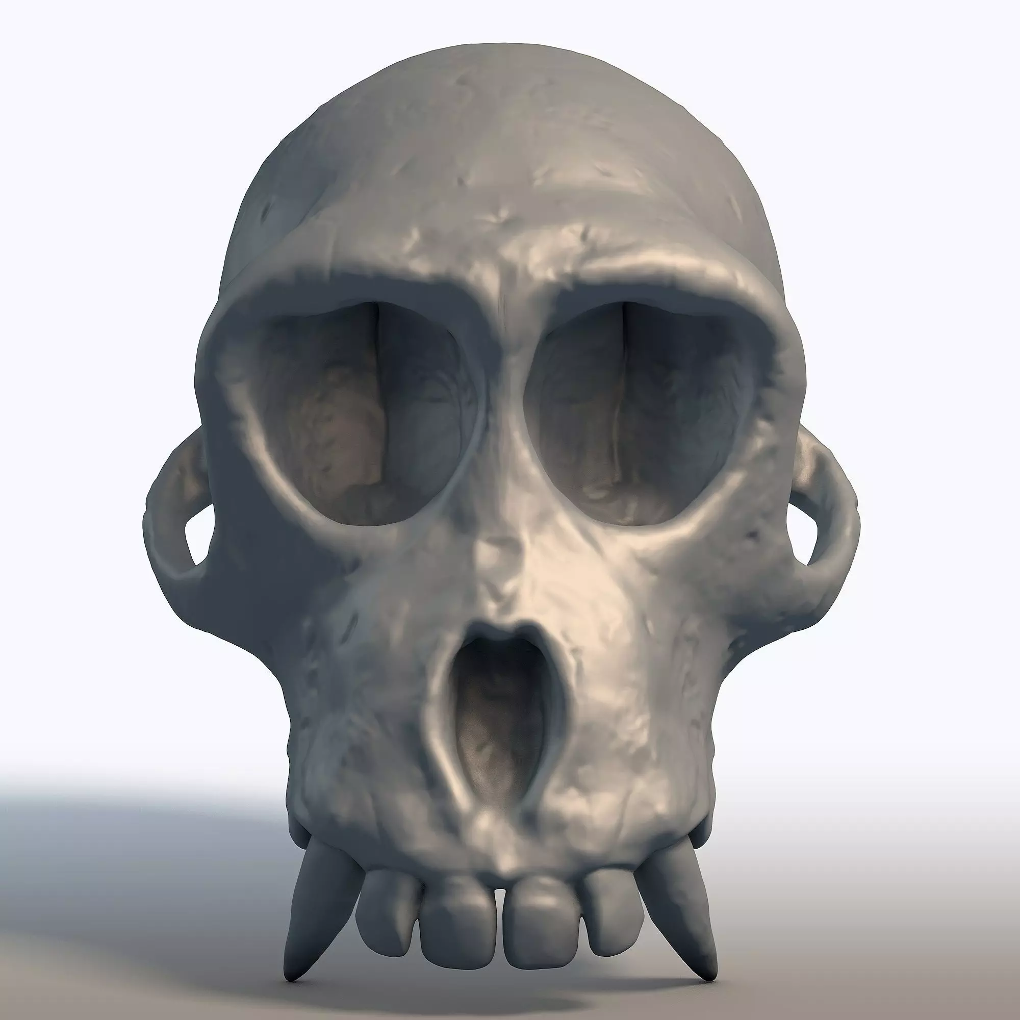 Monkey Skull Primate Anatomy Sculpture 3D print model_1