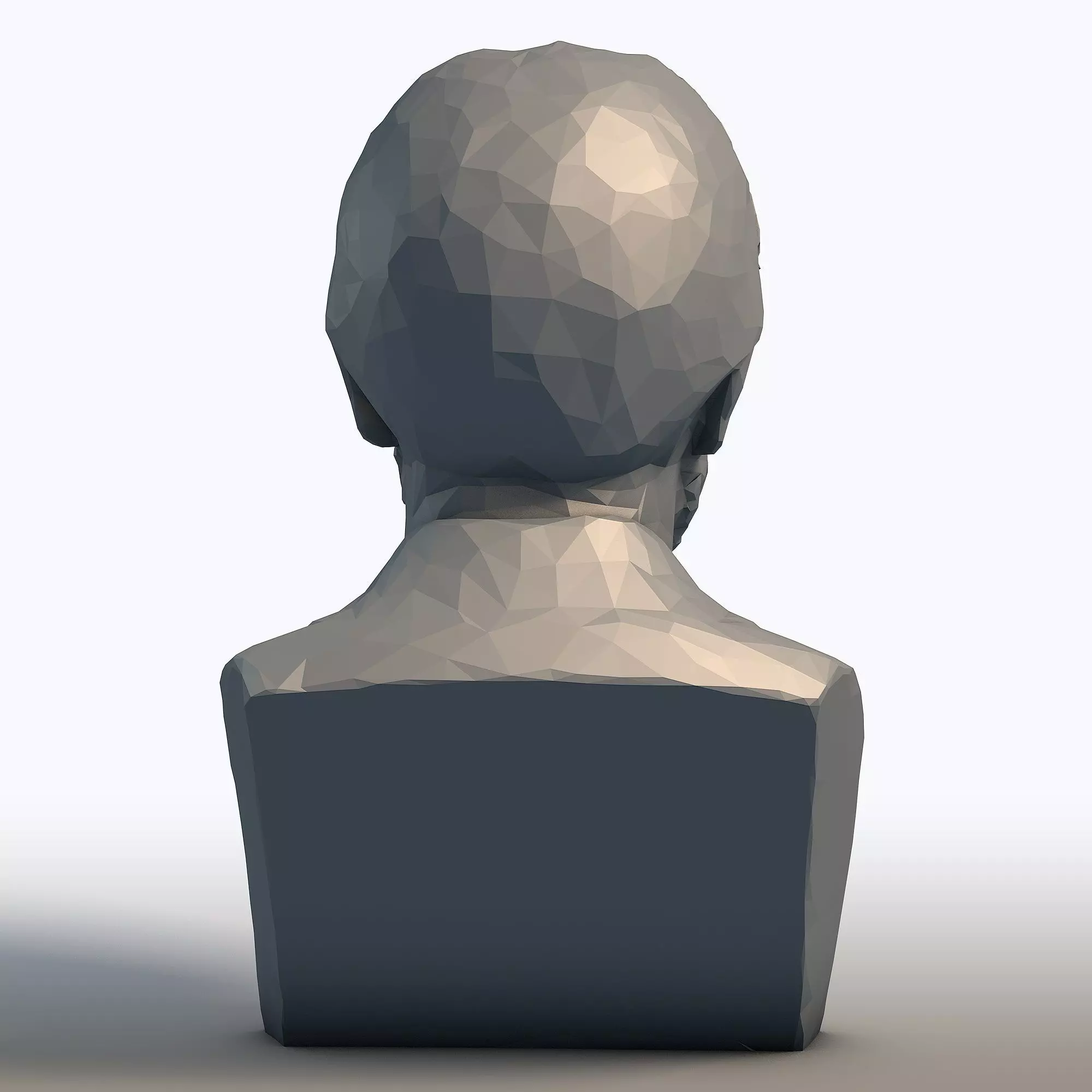 Liam Neeson Low Poly Bust Actor Portrait Sculpture 3D print model_5