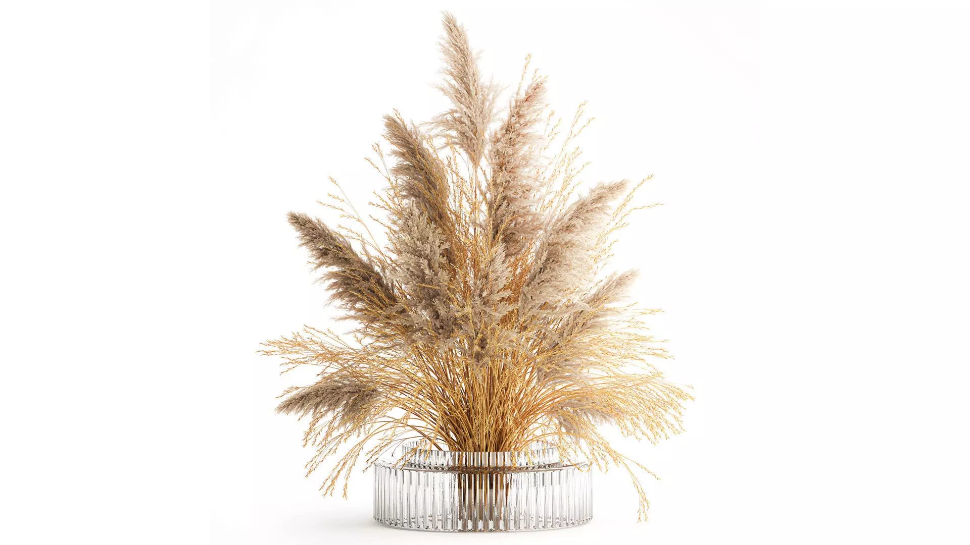 Dried flower bouquet cortaderia pampas reed vase 652 3D model