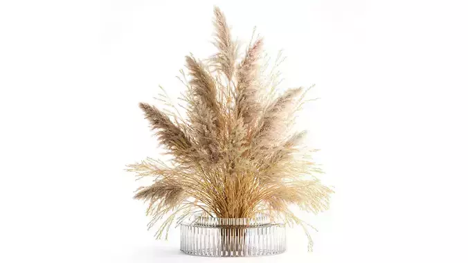 Dried flower bouquet cortaderia pampas reed vase 652