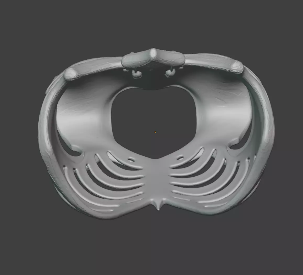 SKELETON RIB CAGE CHEST ARMOR 3D print model_8