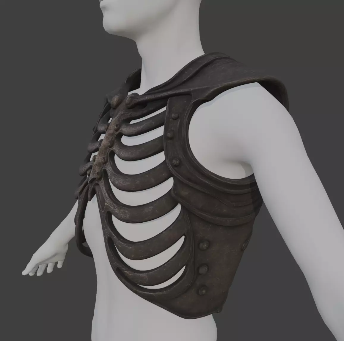 SKELETON RIB CAGE CHEST ARMOR 3D print model_1