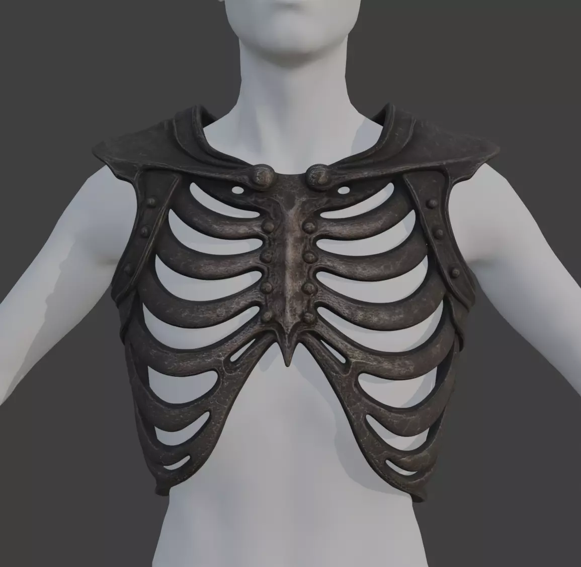 SKELETON RIB CAGE CHEST ARMOR 3D print model_0