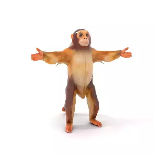 Golden Monkey model pack Low-poly 3D model