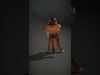 Golden Monkey model pack Low-poly 3D model_2