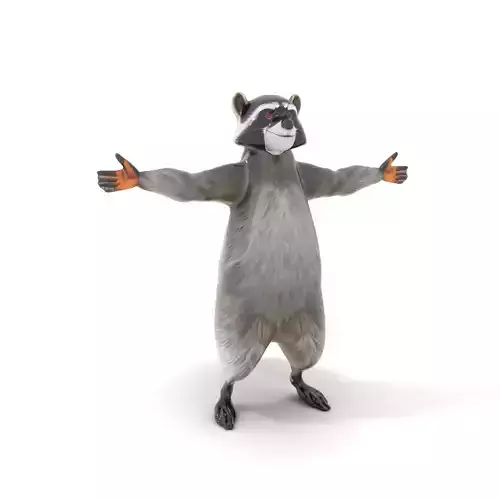 Cheerful Raccoon Character model pack Low-poly 3D model