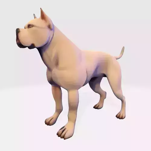 Dog Argentin 3D model Low-poly 3D model Dog Argentin 3D model Low-poly 3D model