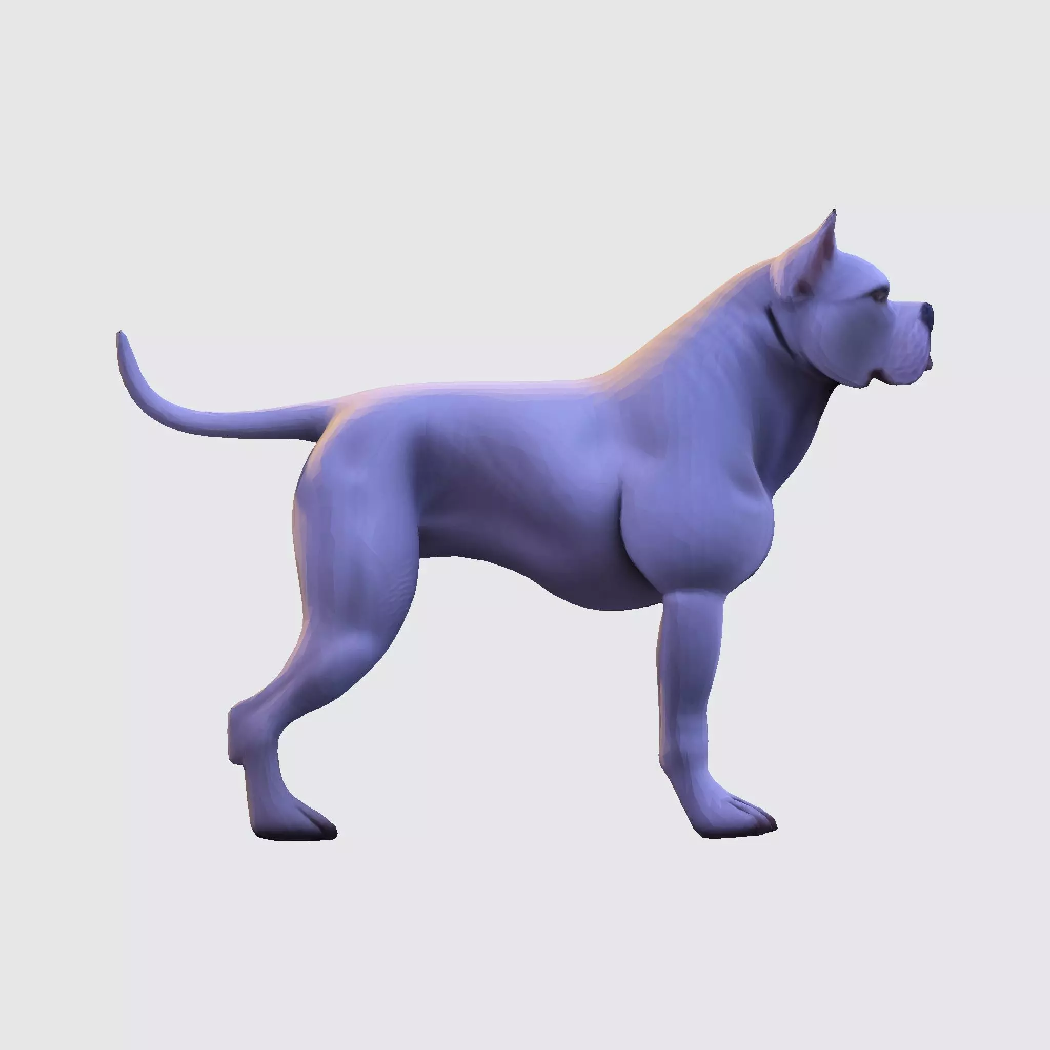 Dog Argentin 3D model Low-poly 3D model_19