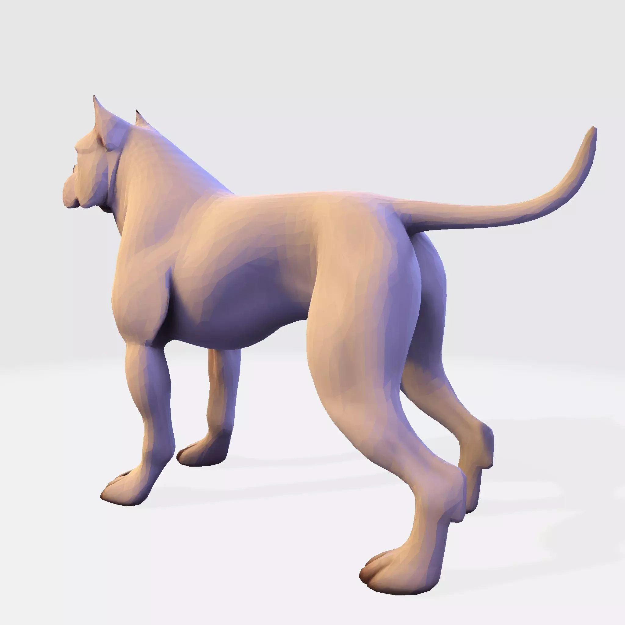 Dog Argentin 3D model Low-poly 3D model_2