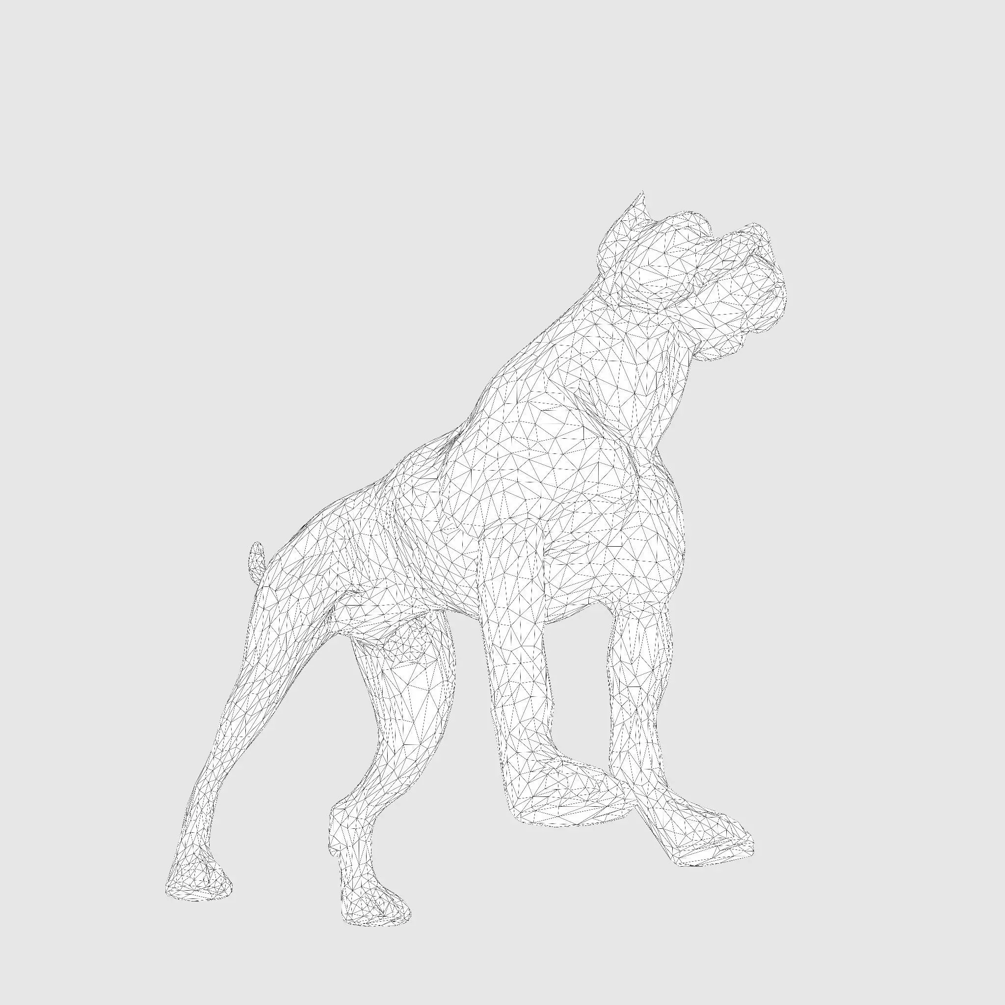 Dog Argentin 3D model Low-poly 3D model_29