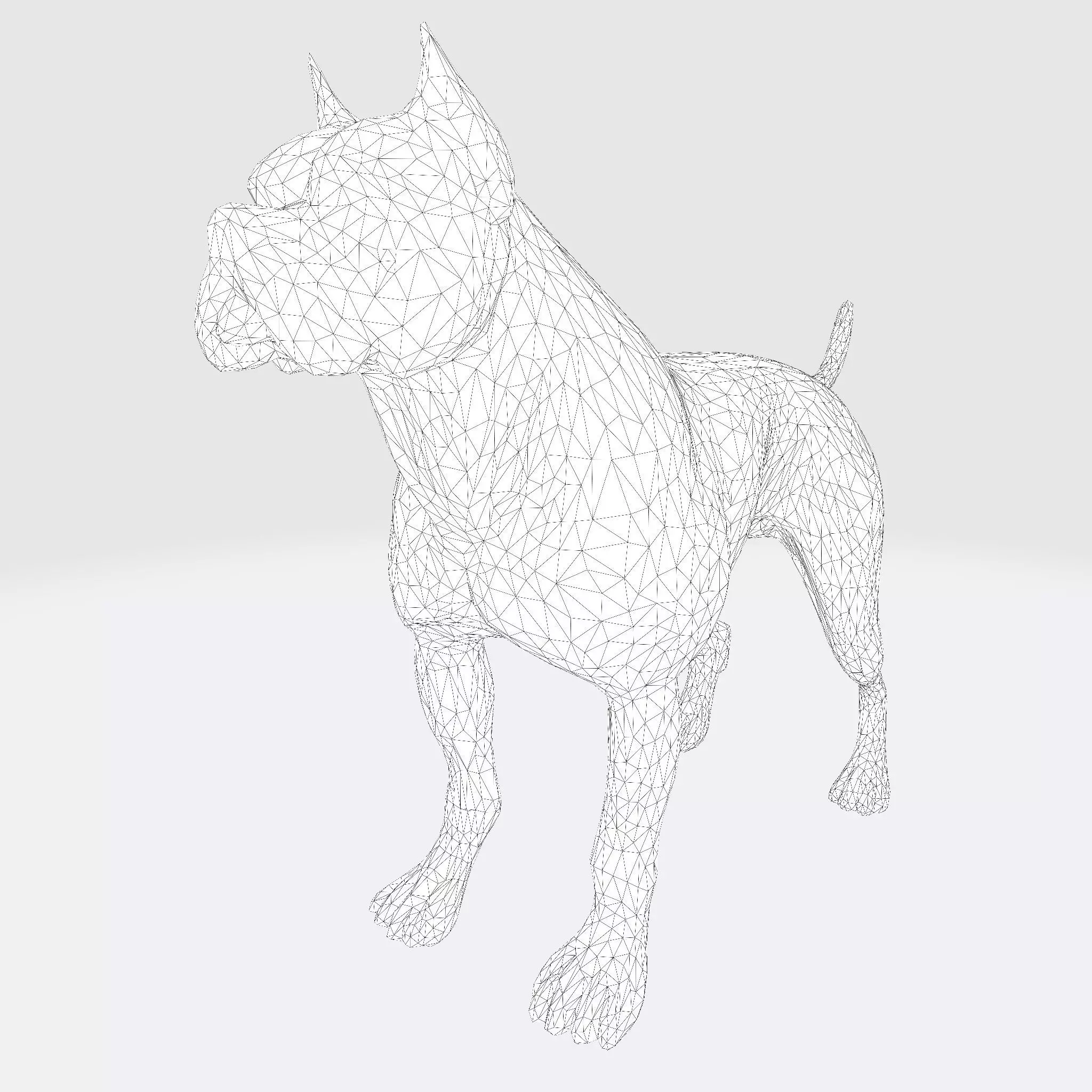 Dog Argentin 3D model Low-poly 3D model_27