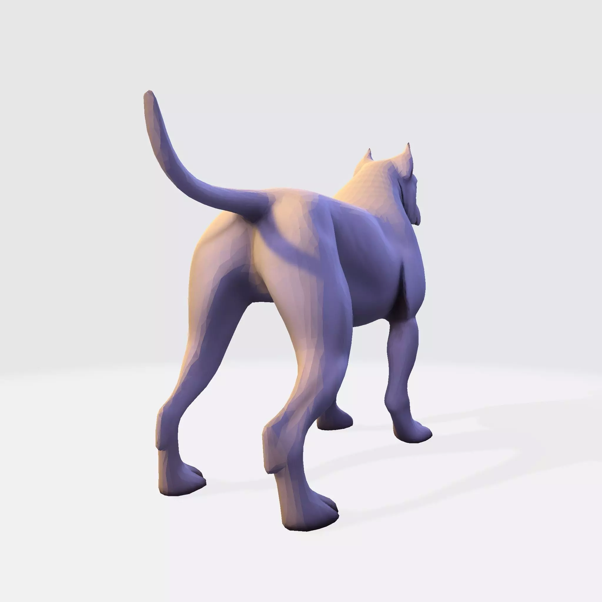 Dog Argentin 3D model Low-poly 3D model_5