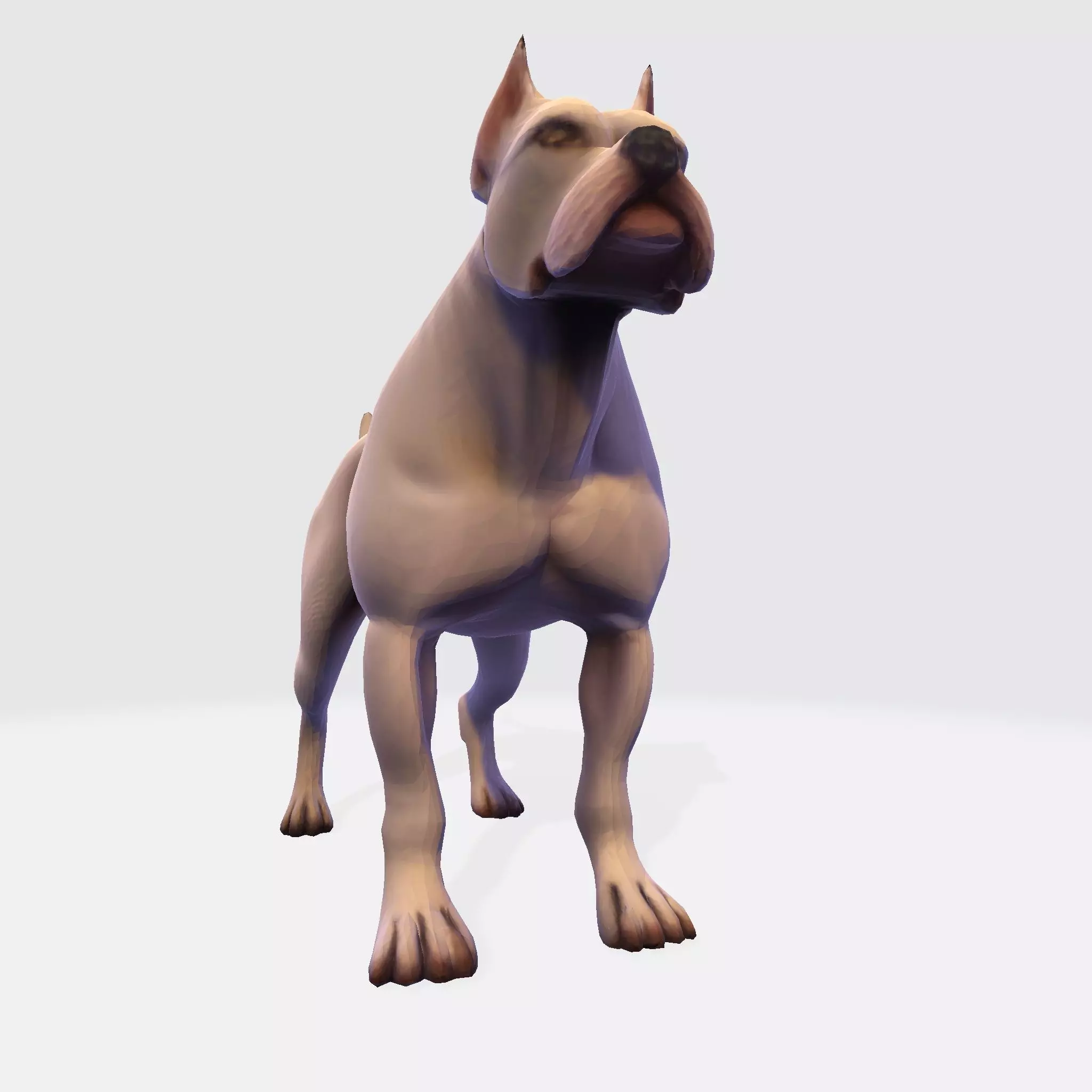 Dog Argentin 3D model Low-poly 3D model_8