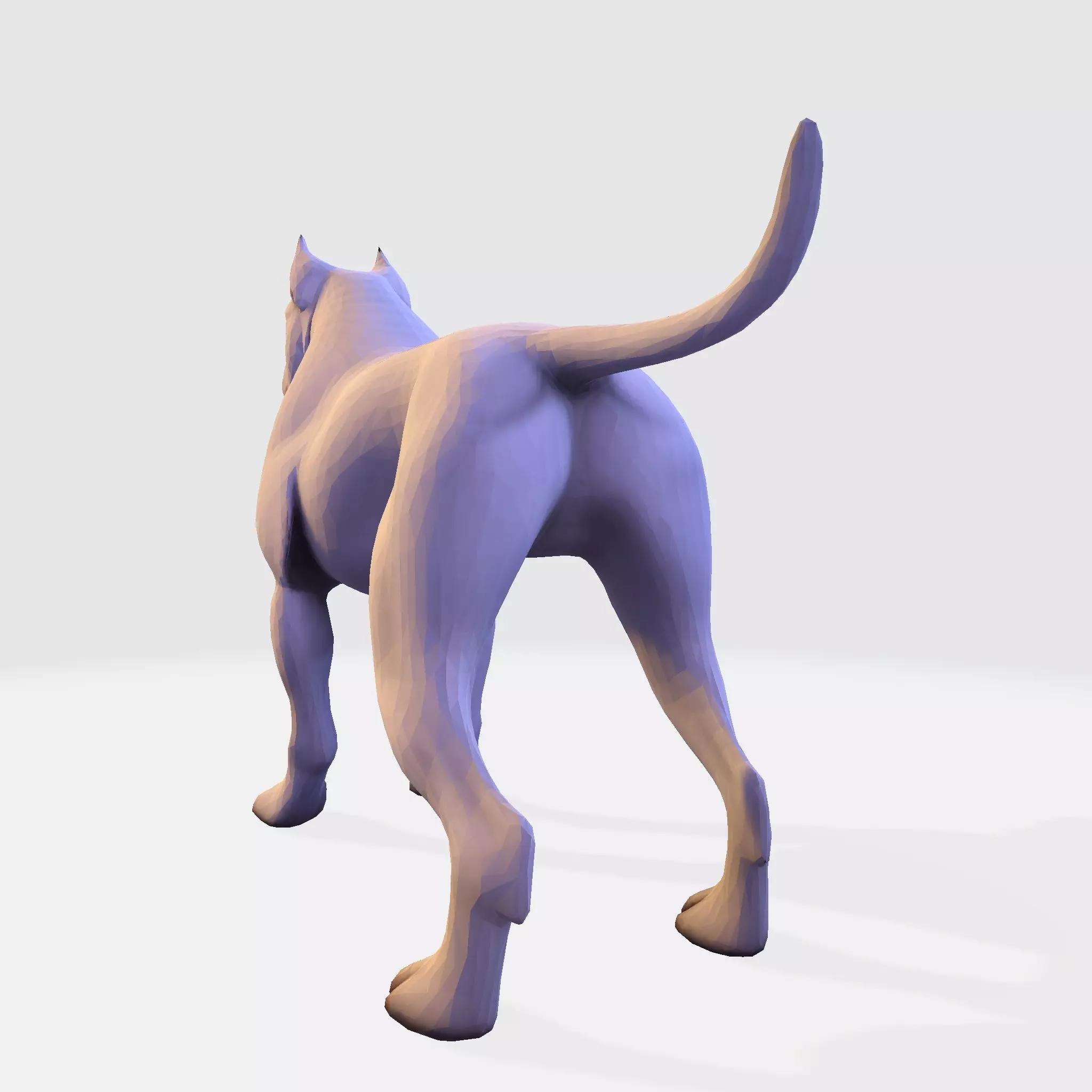Dog Argentin 3D model Low-poly 3D model_3