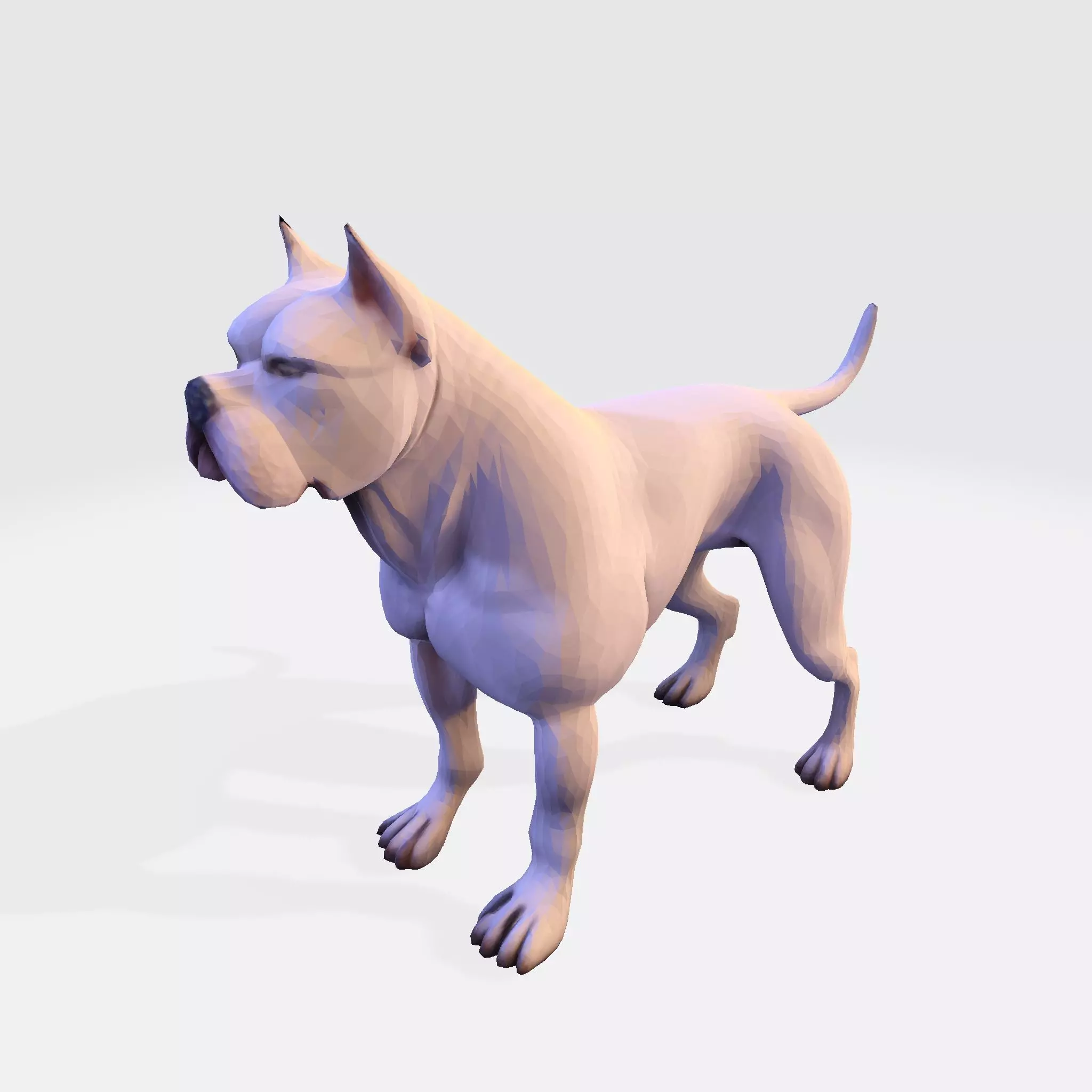 Dog Argentin 3D model Low-poly 3D model_22