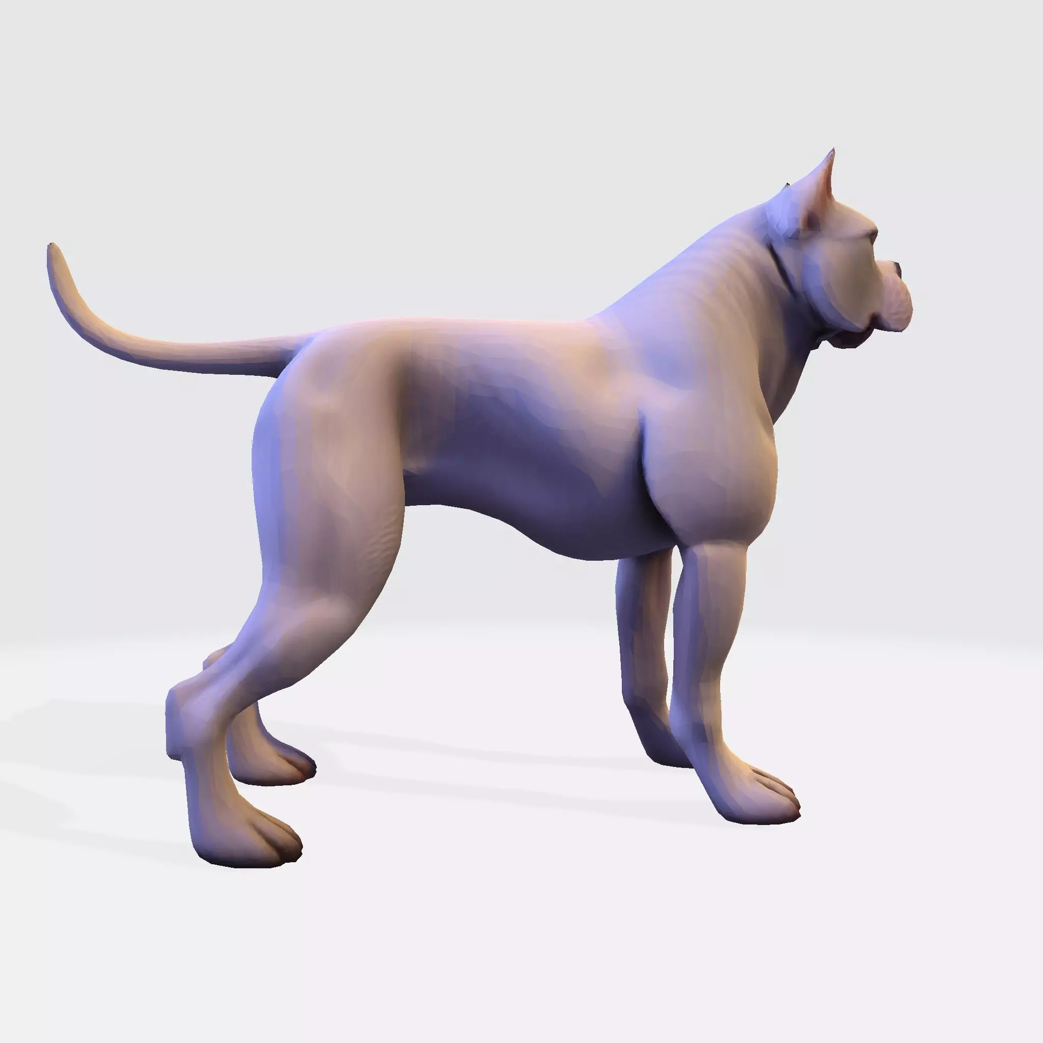Dog Argentin 3D model Low-poly 3D model_6