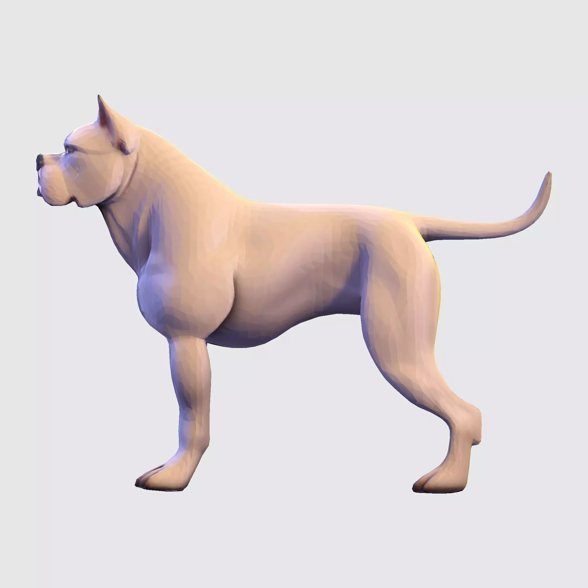 Dog Argentin 3D model Low-poly 3D model_18