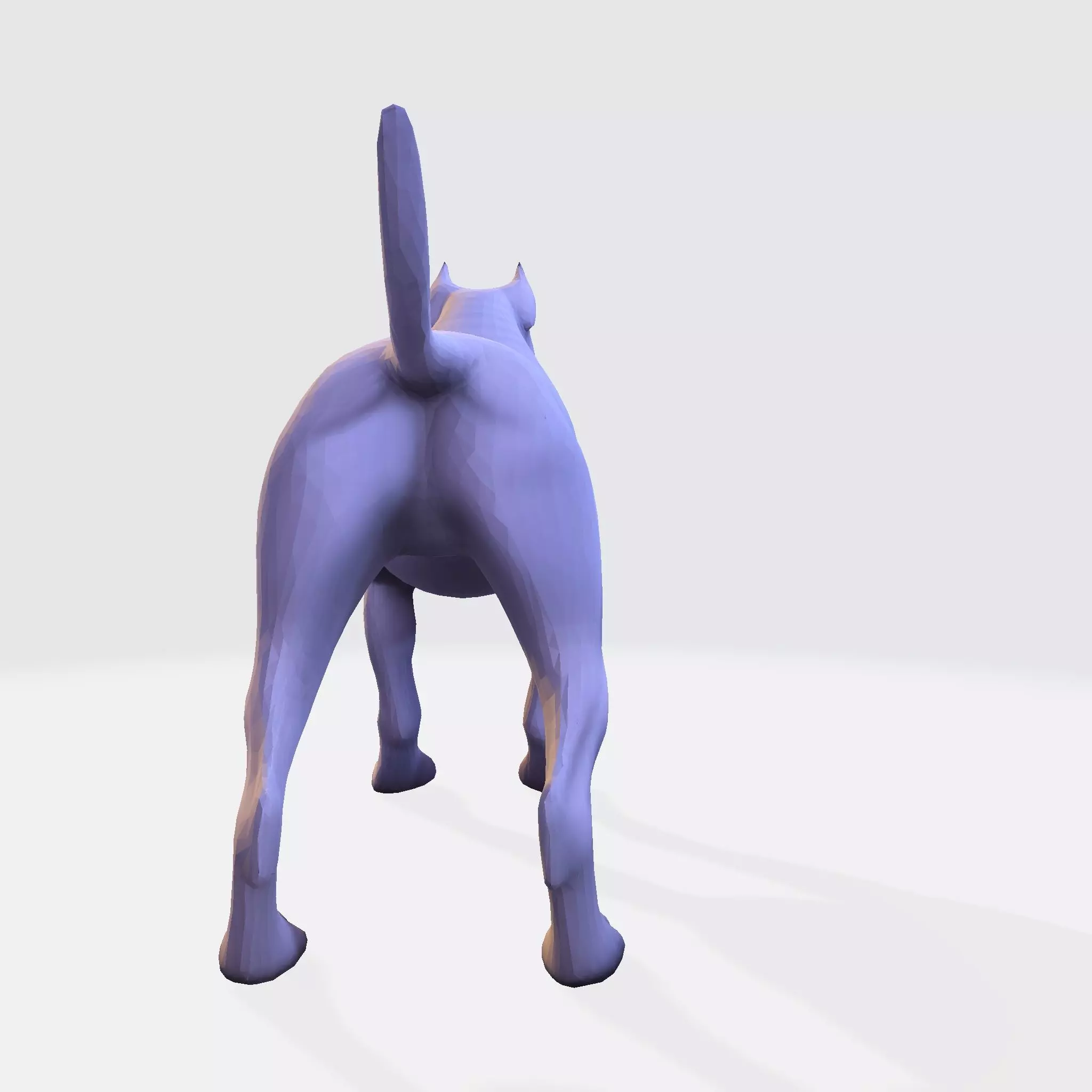 Dog Argentin 3D model Low-poly 3D model_4