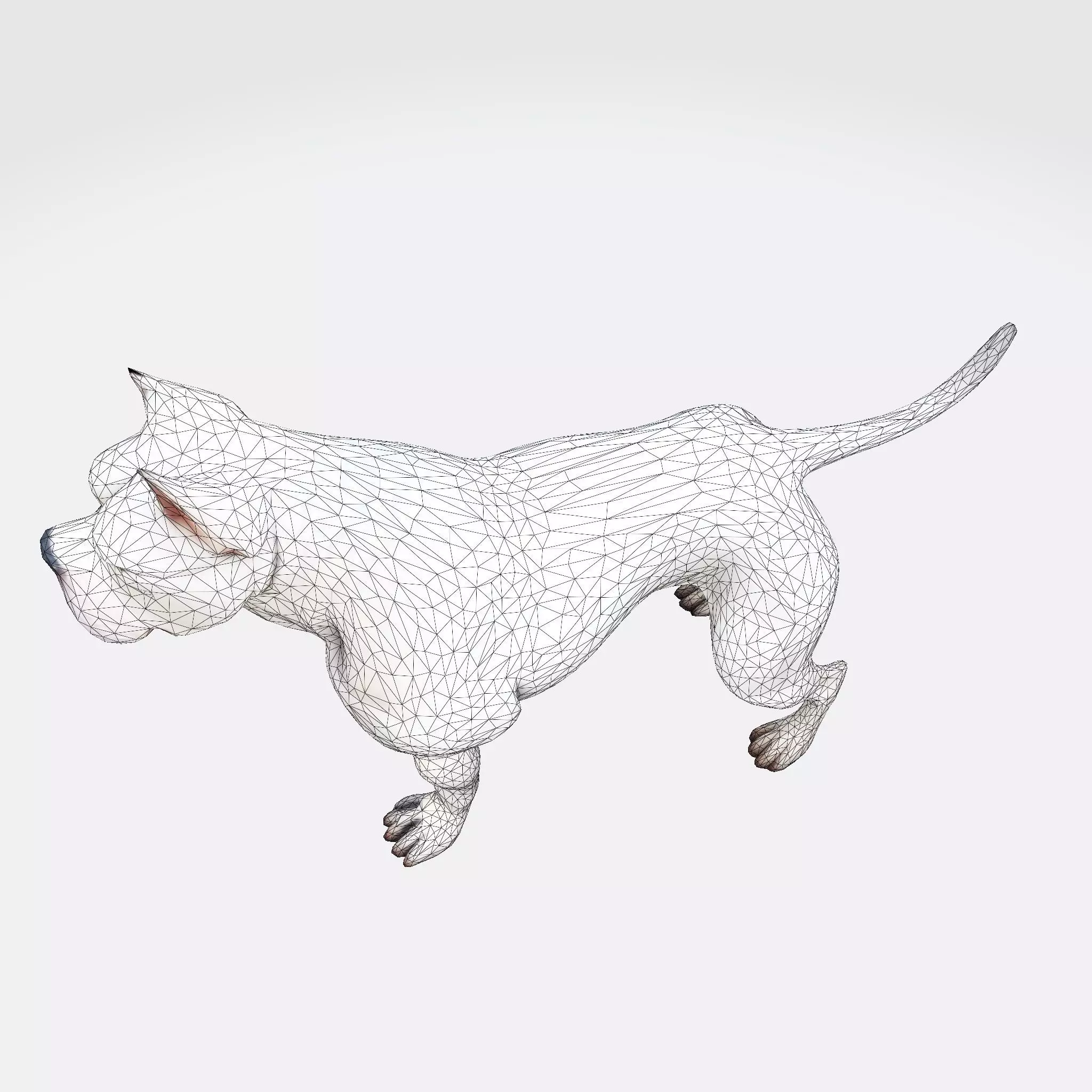 Dog Argentin 3D model Low-poly 3D model_24